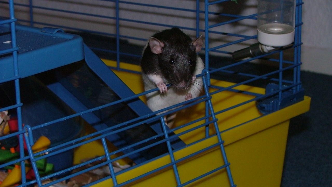 DSCF3796.JPG