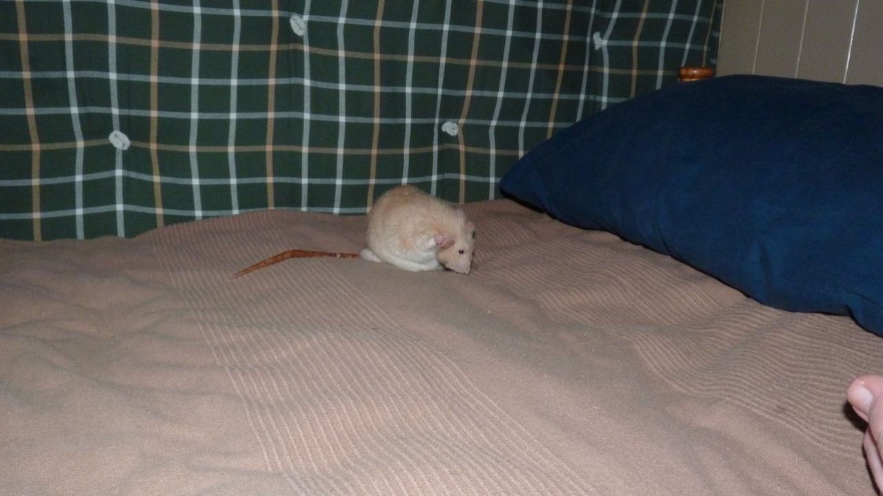 P1000361.JPG