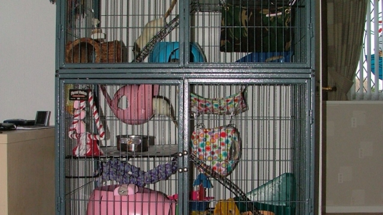 dscf6332.jpg