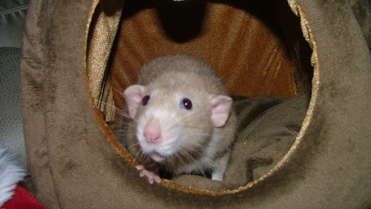 DSCF6712.JPG