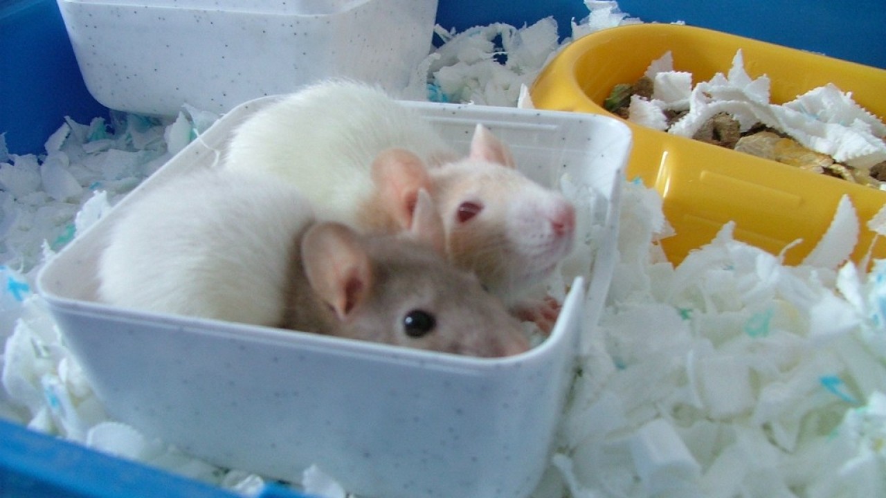 DSCF2108.JPG