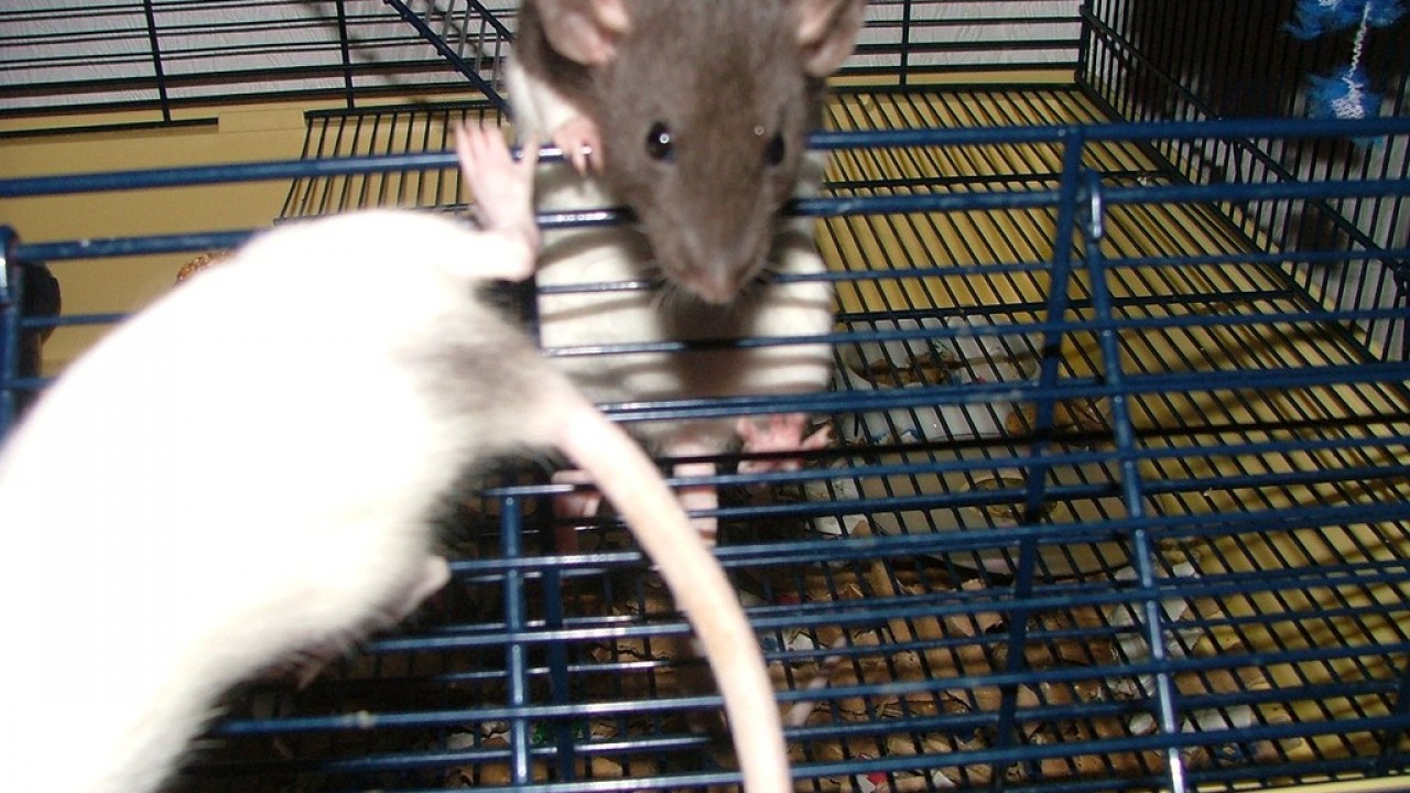 DSCF3683.JPG