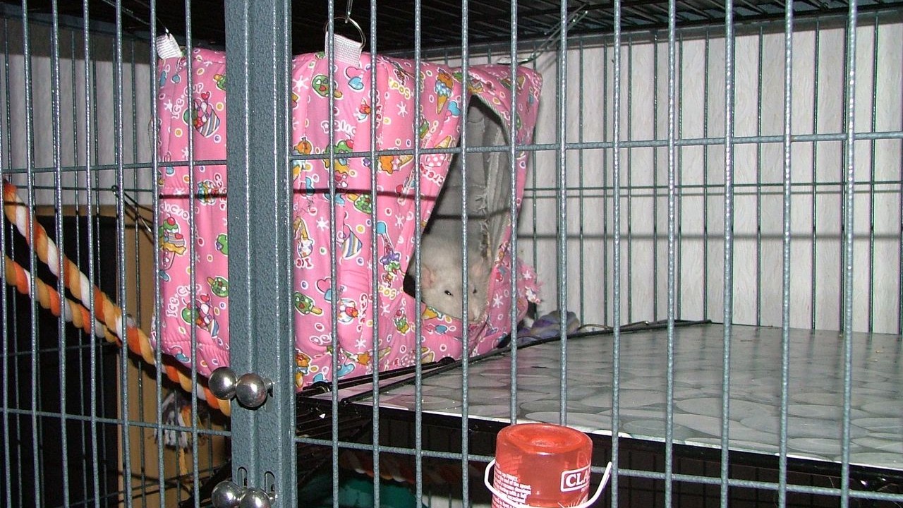 DSCF5669.JPG