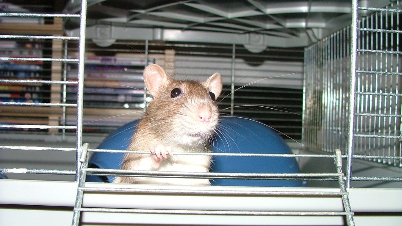 DSCF3145.JPG