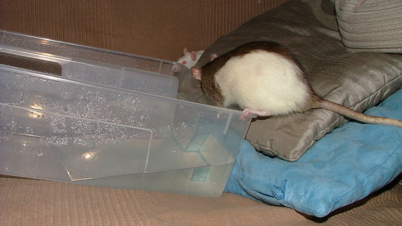DSCF6659.JPG