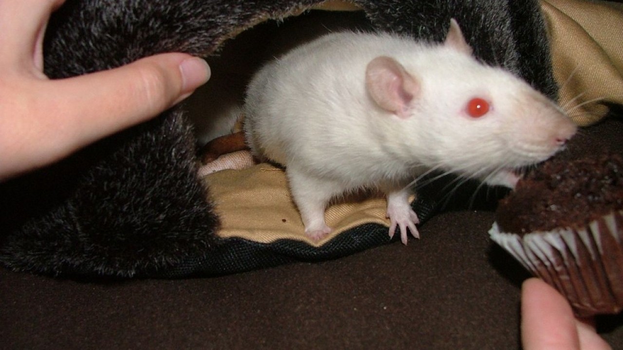 DSCF5546.JPG