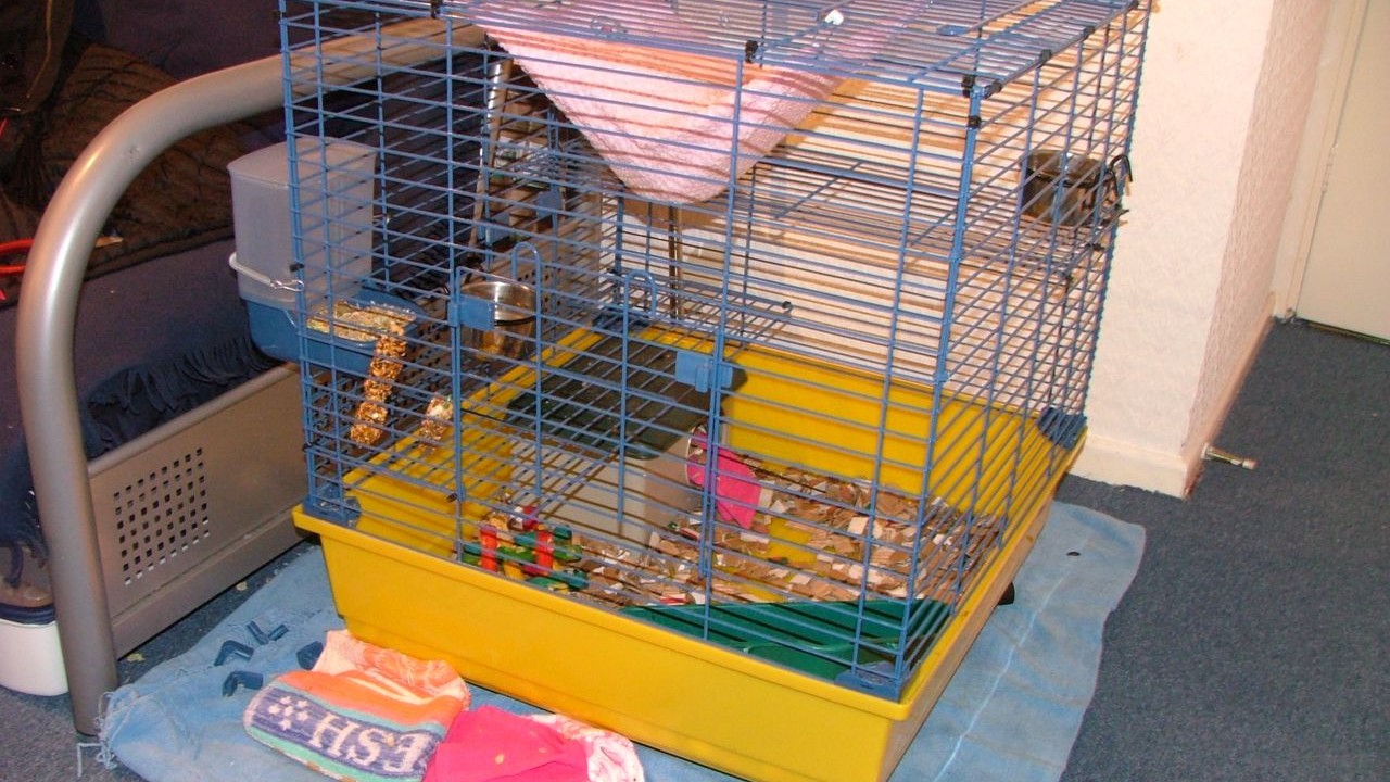 DSCF3863.JPG