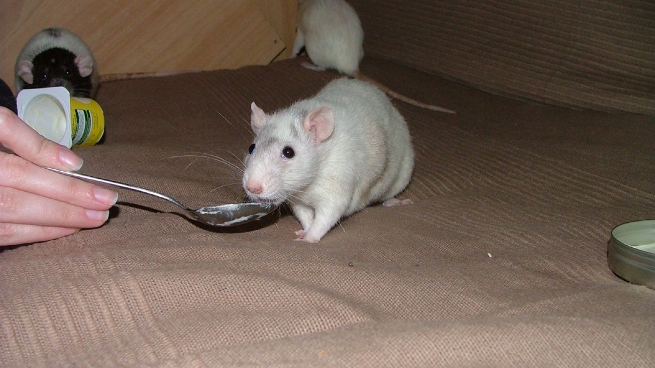 DSCF4731.JPG
