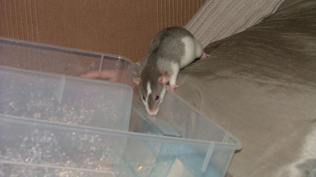 DSCF6656.JPG