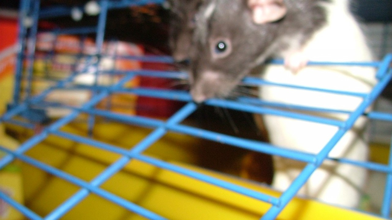 DSCF4114.JPG