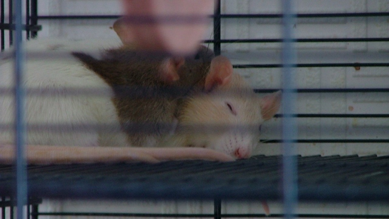 DSCF2140.JPG