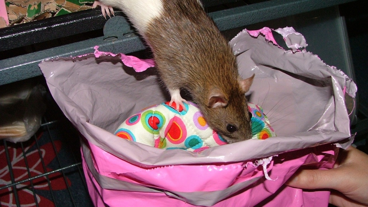 dscf6307.jpg