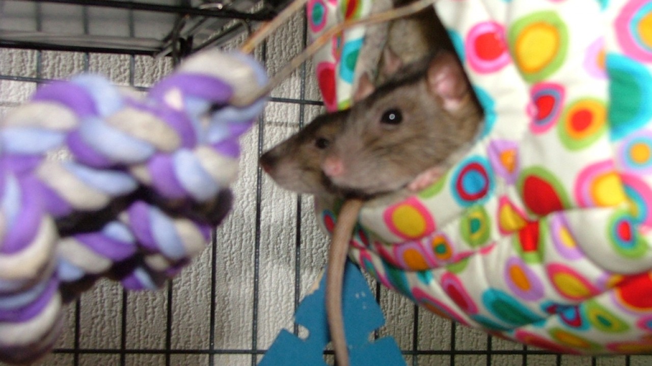 dscf6334.jpg