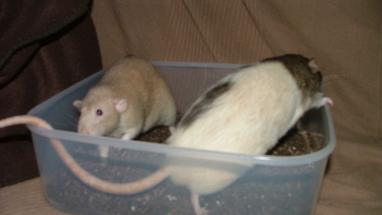 DSCF6726.JPG
