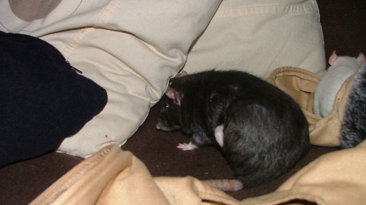 DSCF5561.JPG