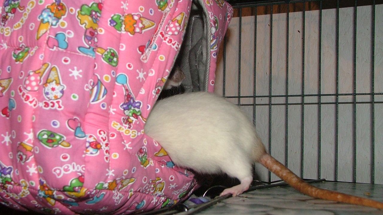 DSCF5656.JPG