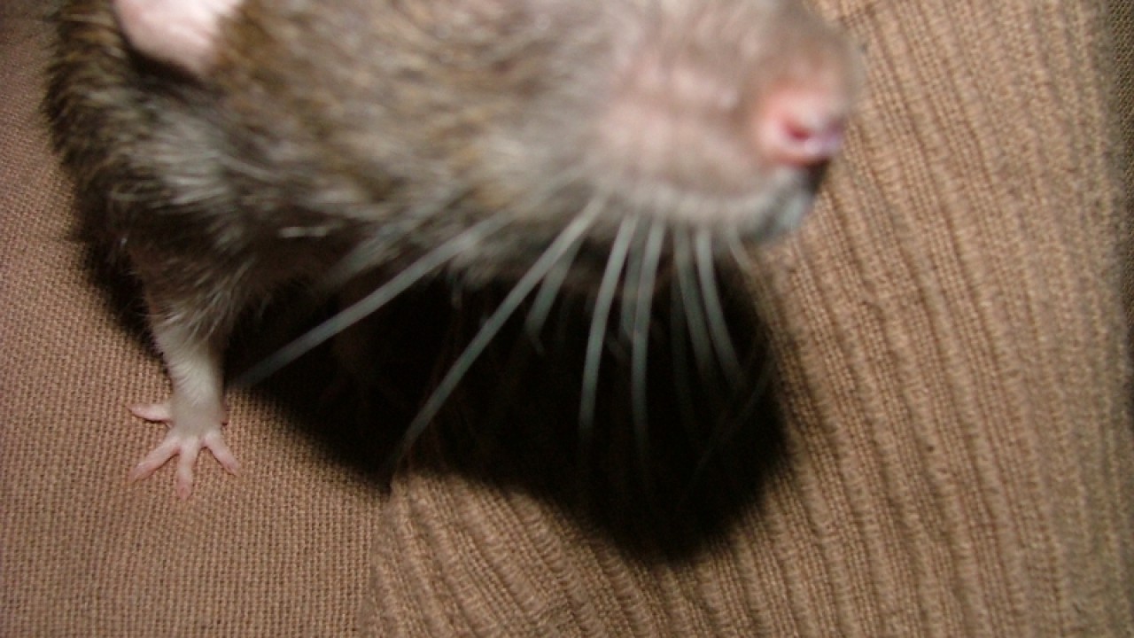 dscf6902.jpg