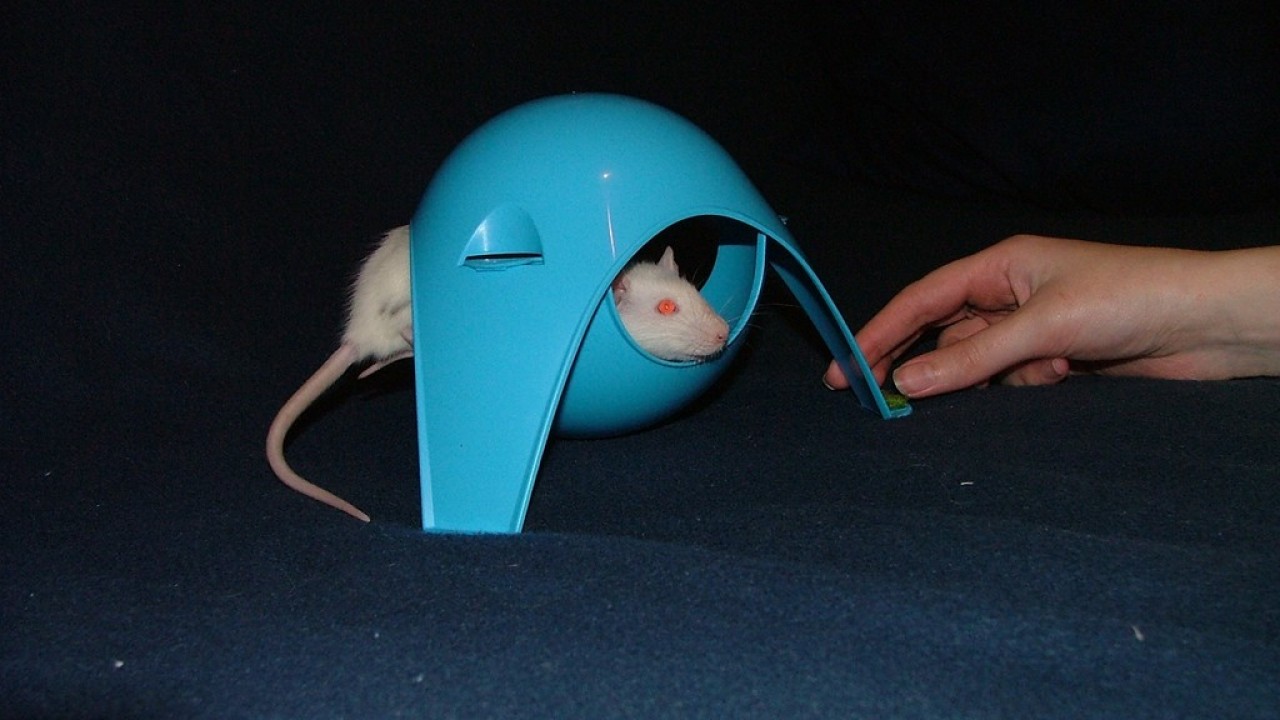 DSCF3803.JPG