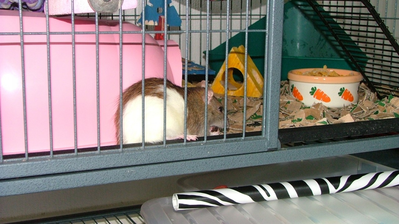 dscf6344.jpg