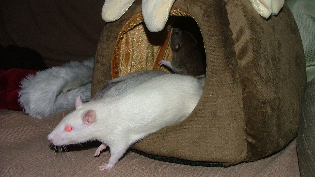 DSCF6703.JPG