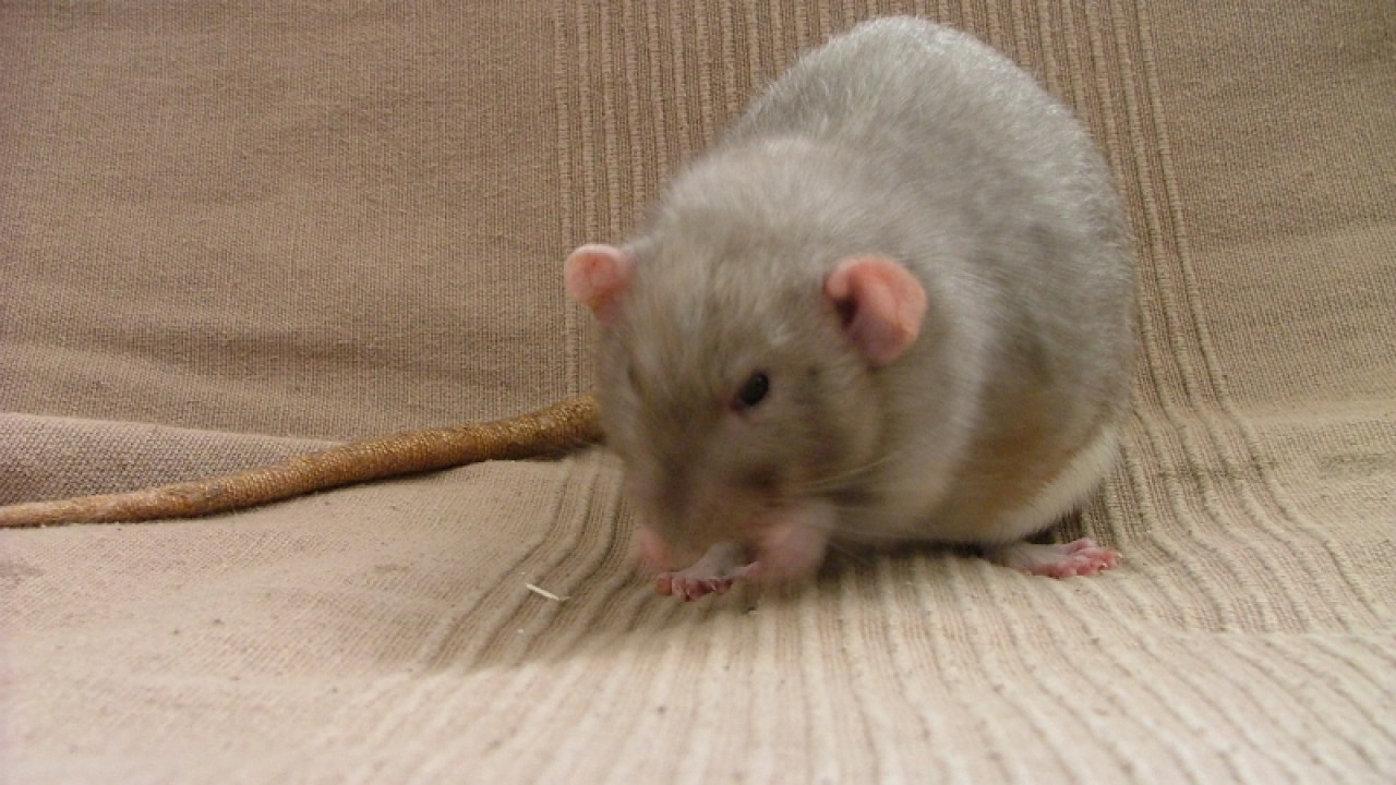dscf6876.jpg