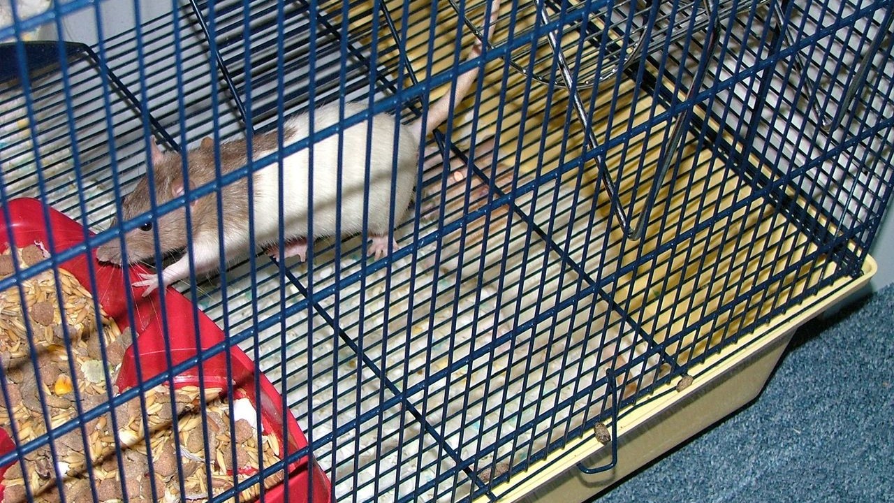 DSCF2693.JPG