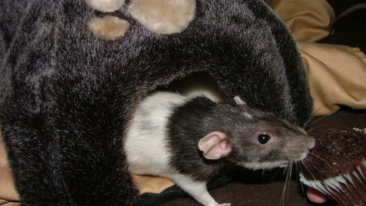DSCF5545.JPG
