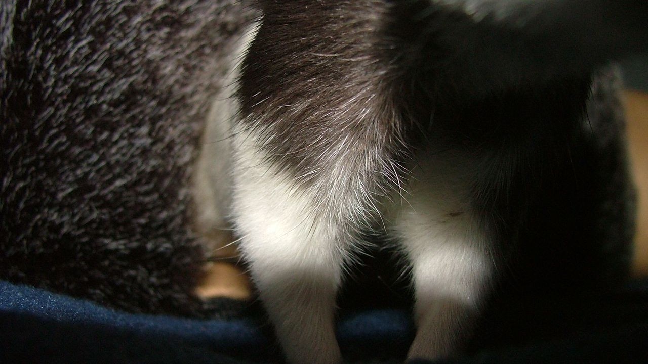 DSCF3953.JPG
