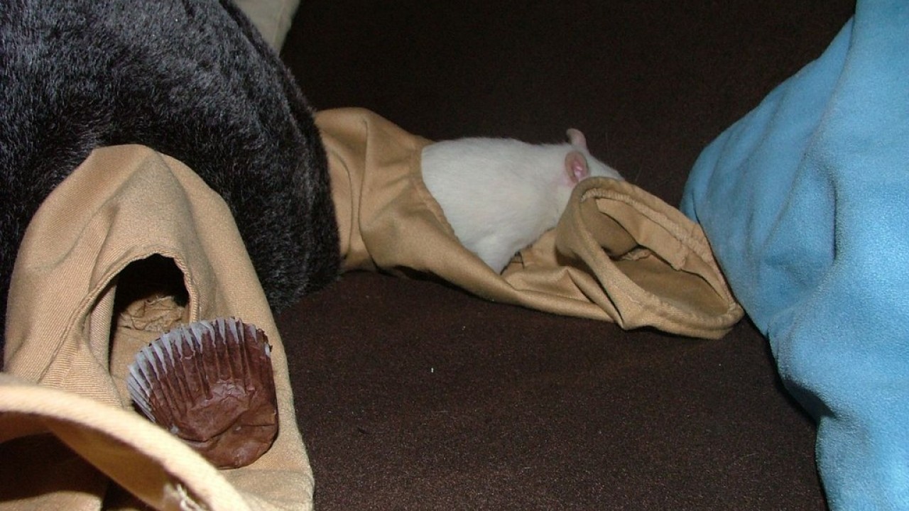DSCF5569.JPG