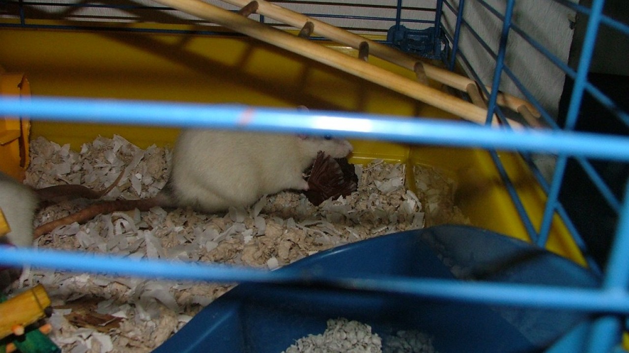 DSCF4105.JPG
