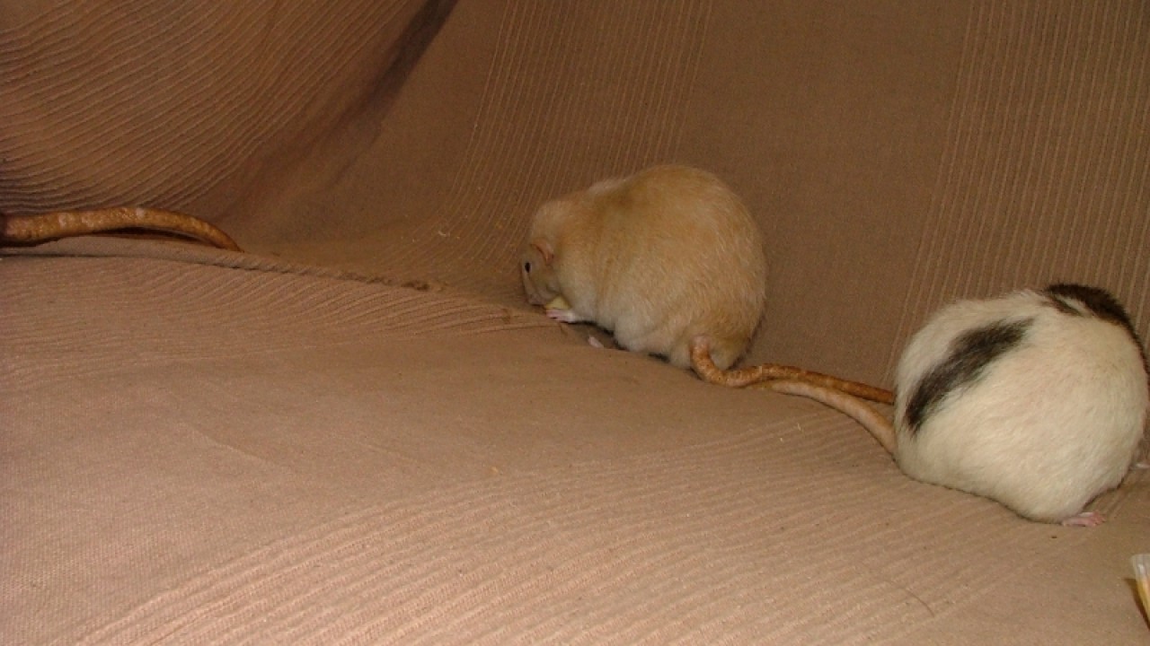 dscf6891.jpg