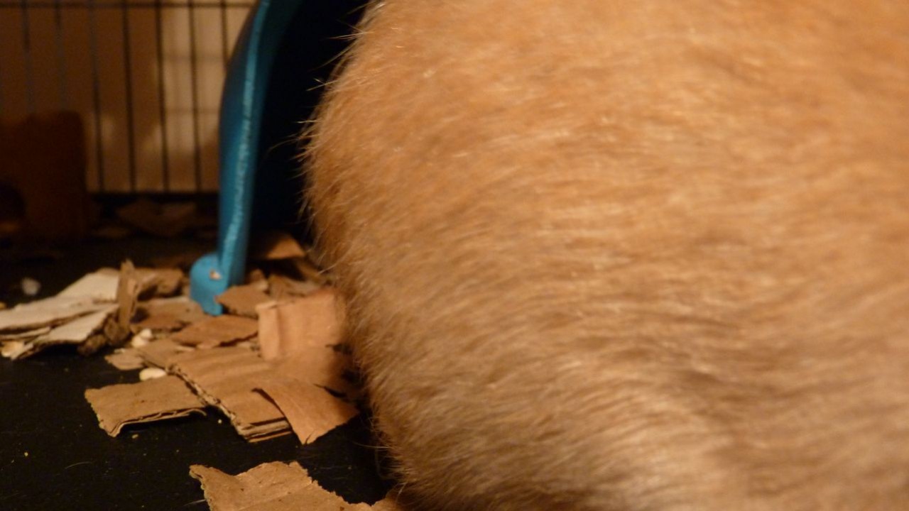 P1000837.JPG