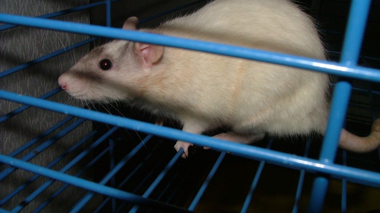 DSCF3878.JPG
