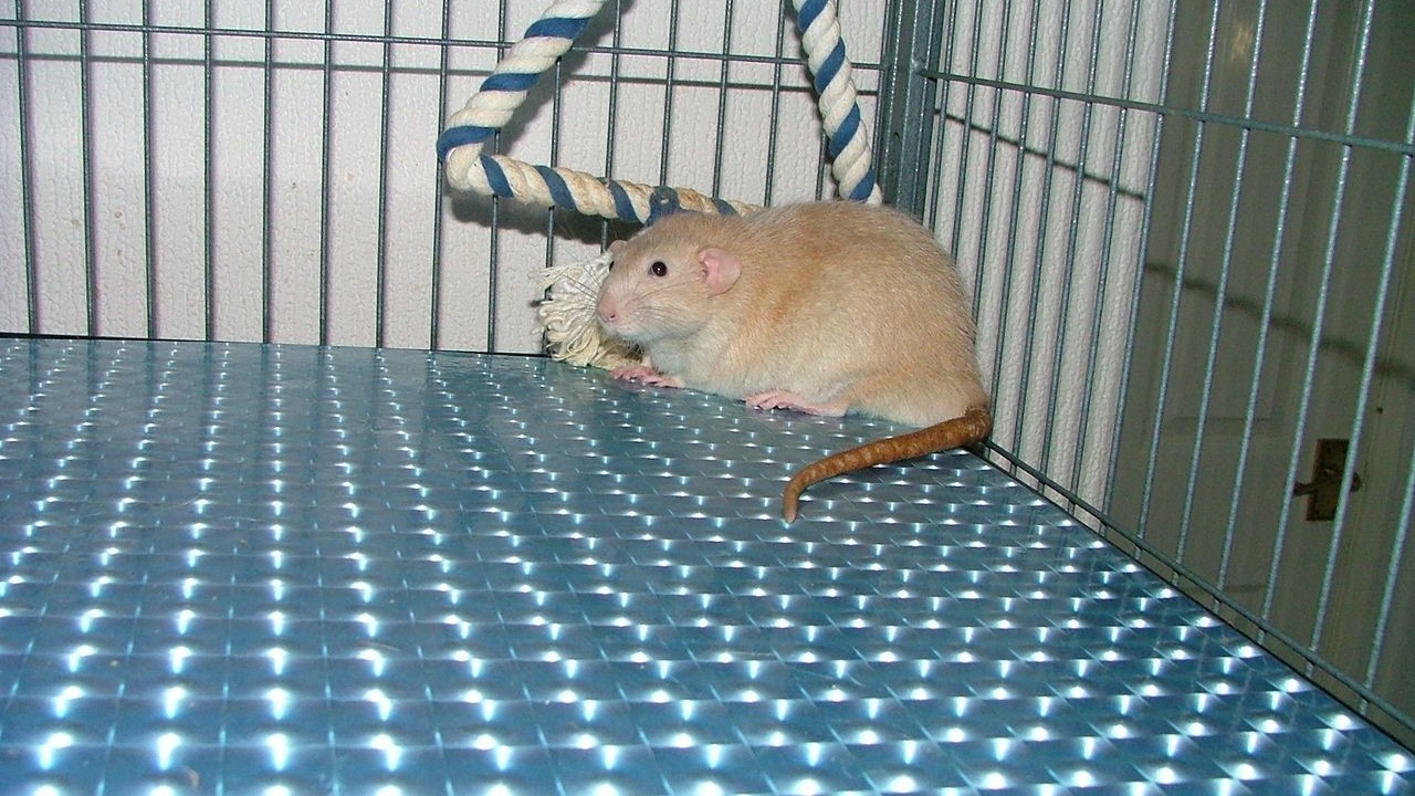 DSCF6740.JPG
