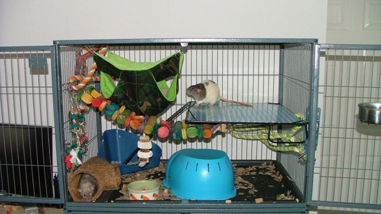 dscf6865.jpg