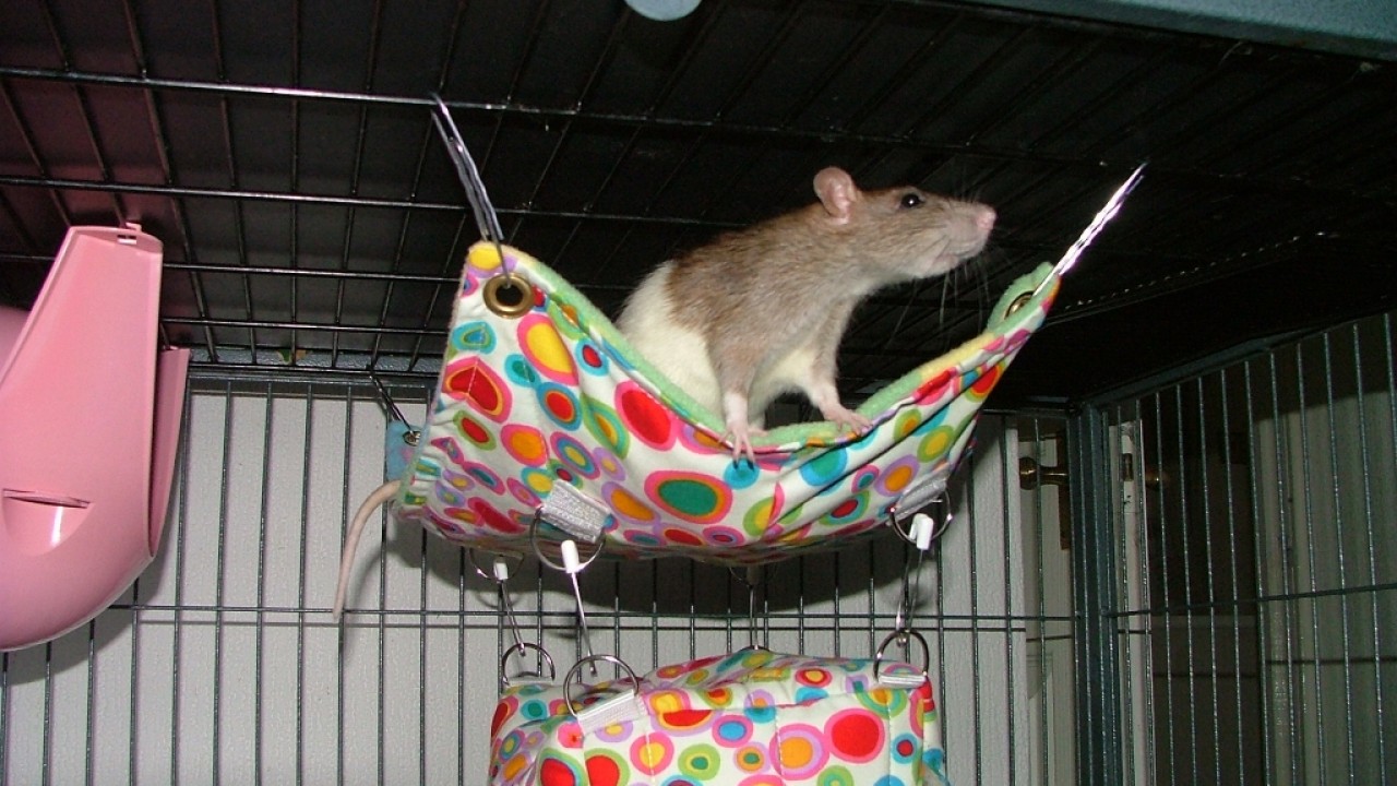 dscf6313.jpg