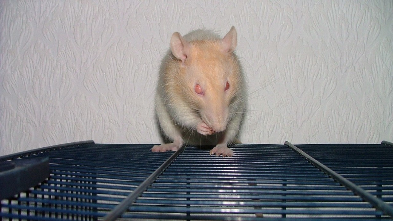 DSCF3679.JPG