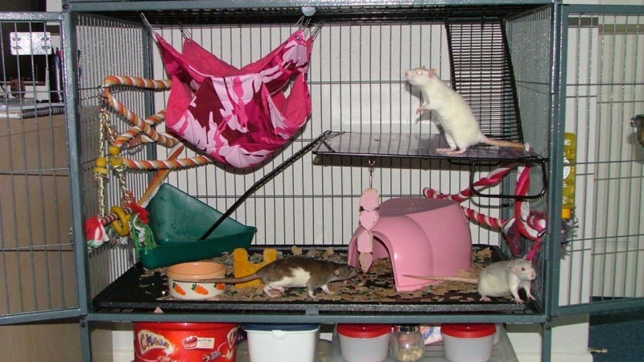dscf6870.jpg
