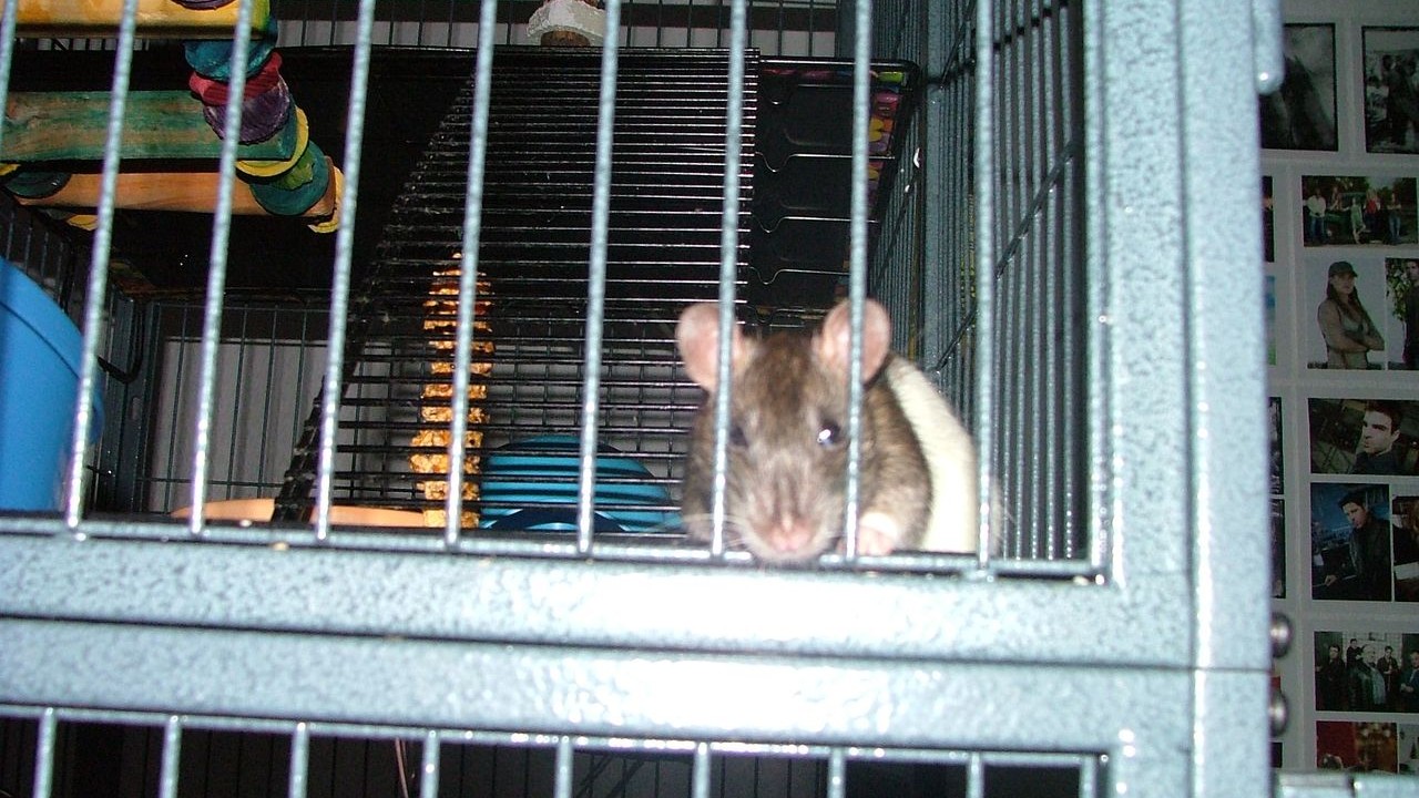 DSCF5685.JPG