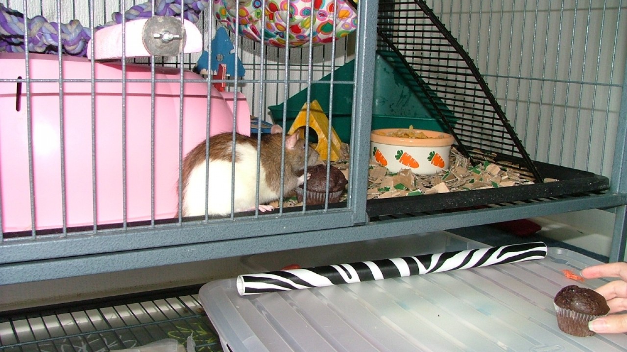dscf6345.jpg