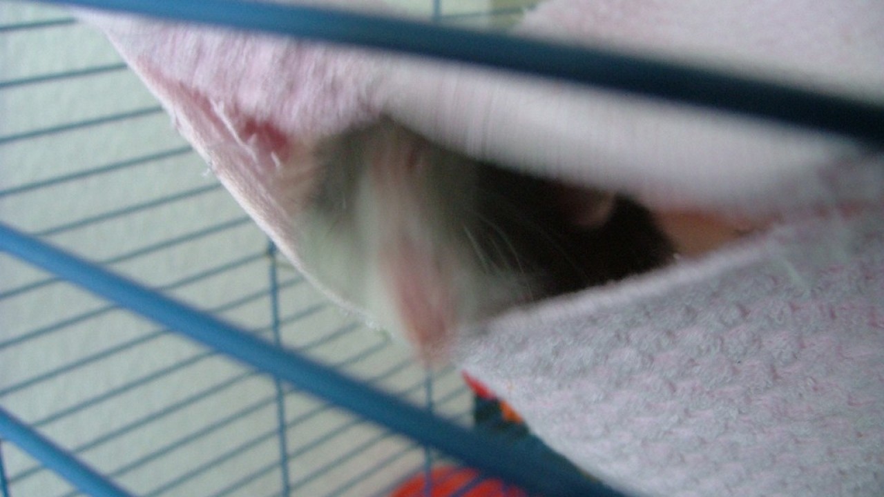 DSCF4129.JPG