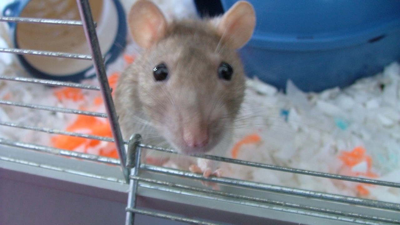 DSCF3142.JPG