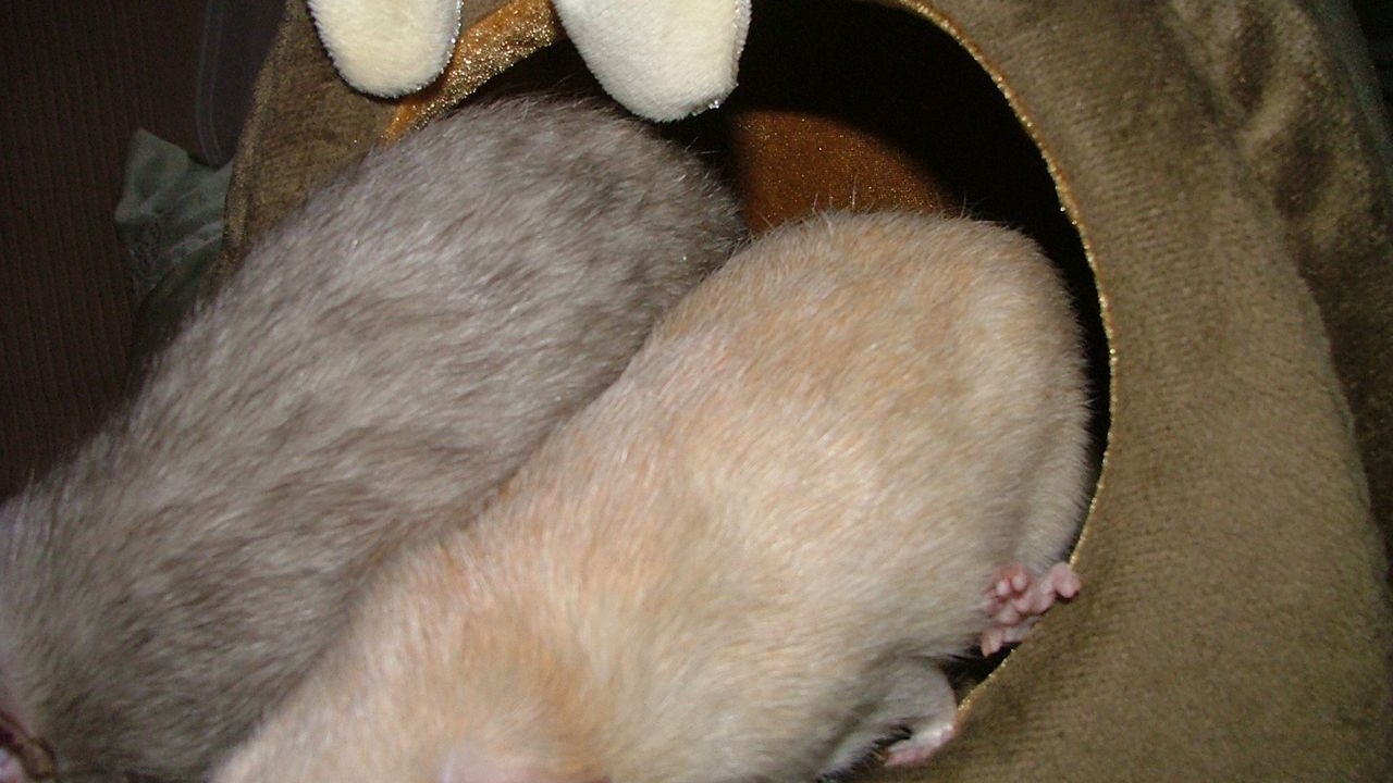 DSCF6727.JPG
