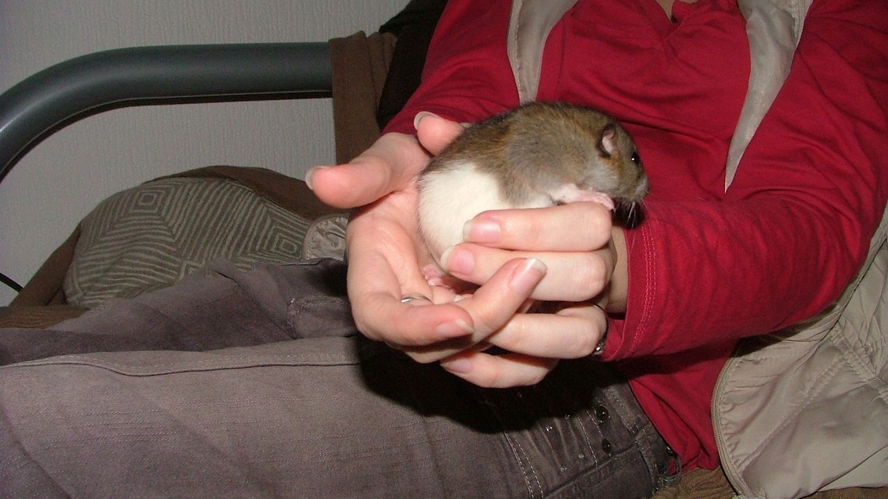 DSCF6639.JPG