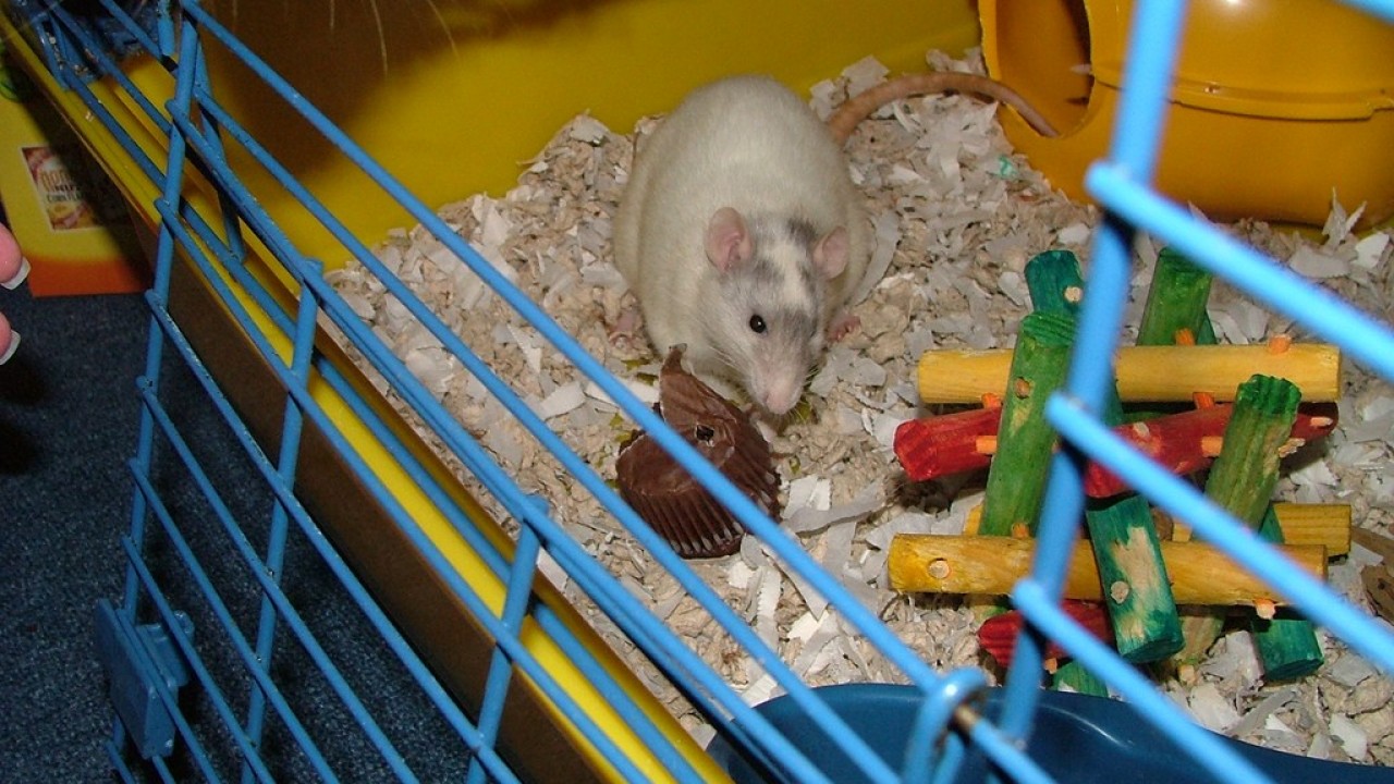 DSCF4103.JPG