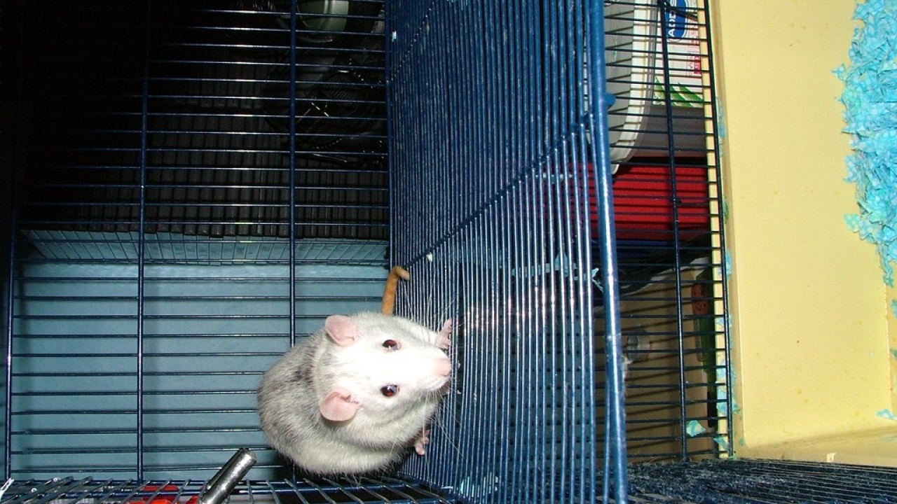 DSCF1843.JPG