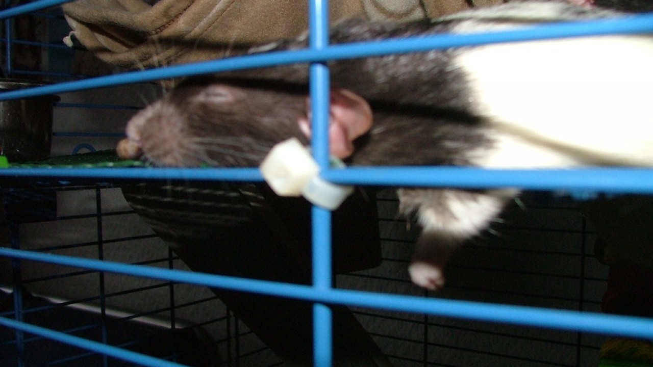 DSCF4020.JPG