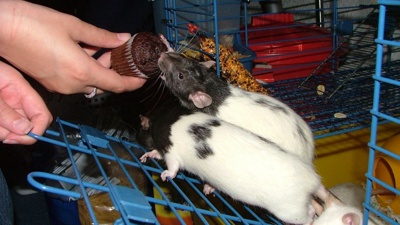 DSCF4109.JPG