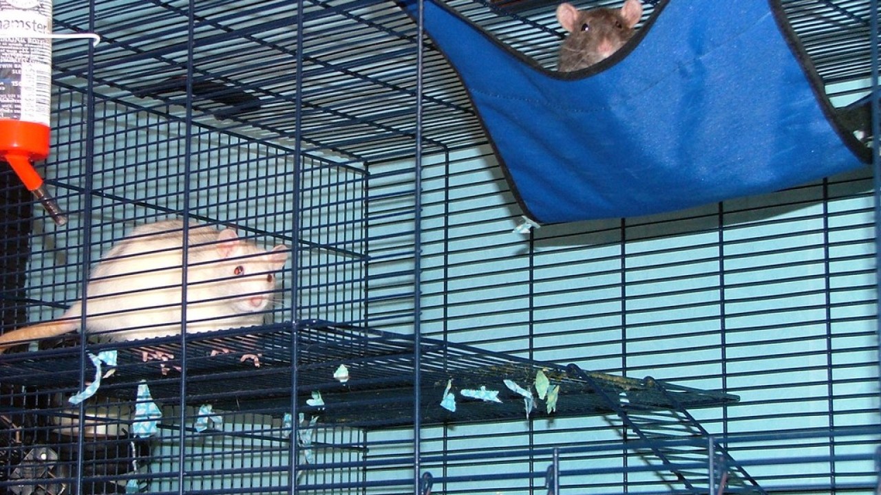 DSCF1837.JPG
