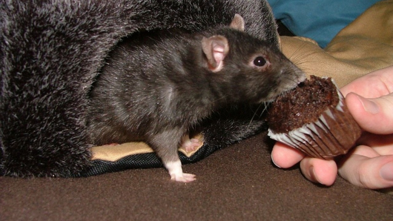 DSCF5540.JPG